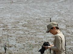 -平湖九龙山旅游度假区
