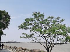 -上海吴淞炮台湾国家湿地公园