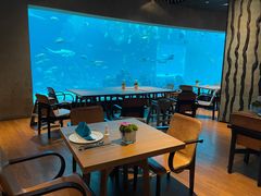 -海棠湾洲际-涛·海底餐厅·美人鱼·自助餐·海底隧道