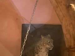 -青藏高原野生动物园