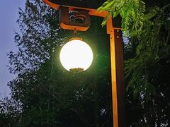 -重庆彩云湖湿地公园