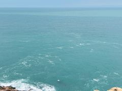 -广东惠东海龟国家级自然保护区