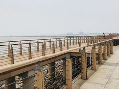 -东疆建设开发纪念公园