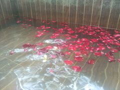 -三亚珠江南田温泉度假区