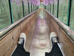 -萍乡武功山风景名胜区