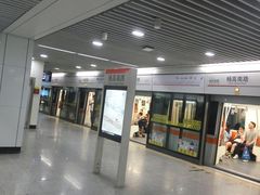 -杨高南路(地铁站)