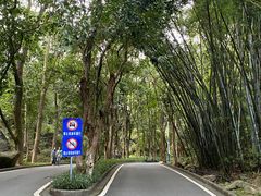 -火炉山森林公园