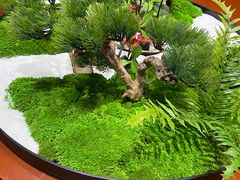 -雨后行菜(报慈北路店)