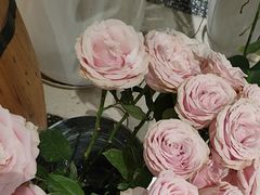 -L'Arome芳芳法国餐厅(仙林金鹰店)