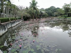 -红色娘子军纪念园