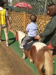 -萌宠亲子动物乐园(槐房万达店)