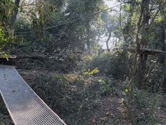 -芦仙山景区-飞越丛林探险乐园