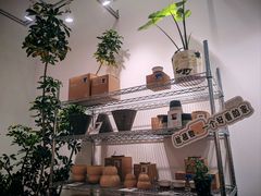 -上海植物园-4号门售票处