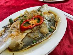 -蛇口康乐快餐鱼仔档(翠苑小区店)