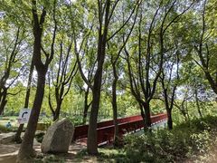 -美兰湖景区