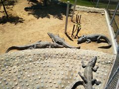 -石家庄市动物园