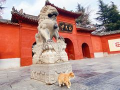 -洛阳白马寺