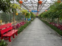 -南宫五洲植物乐园