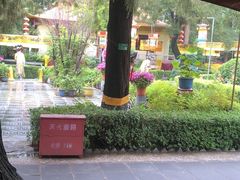 -白家大院·王府宫廷菜(苏州街店)