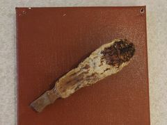 -觅山云南菜(泊富ICITY店)