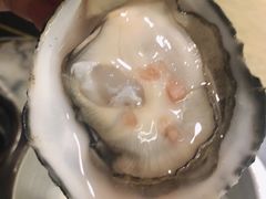 -囧吉香生蚝牛排馆(湖北路店)