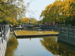 -洛阳白马寺