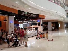 -格瑞思动物奶油生日蛋糕(圆融店)