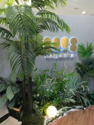 -八佰伴8008星级形象店