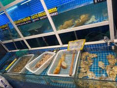 水产区-金龙·打边炉(南京西路店)