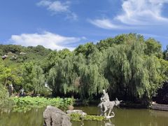 -宜兴张公洞