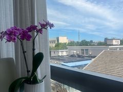 -悦融·京鲁菜·露台花园(安定门店)