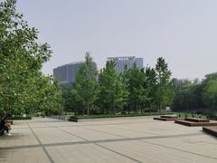 -大望京公园