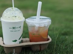 -一树一叶·福建茶档(石鼓路店)