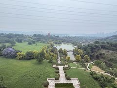 -张坝桂圆林公园