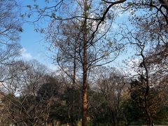 -采石矶景区