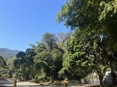 -象头山国家级自然保护区