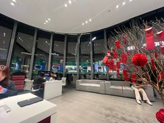 -TESLA 特斯拉(广州天环广场体验店)