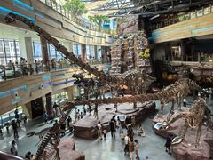 -安徽省地质博物馆