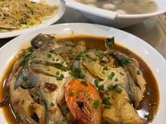 -福建美食城(老君堂店)
