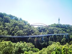 -金鸡山公园