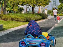 -王借岗森林公园