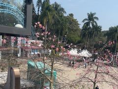 -盆满钵满·国家非遗传承(云台店)