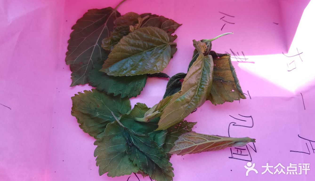 这次为了满足小朋友的好奇心