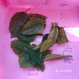 这次为了满足小朋友的好奇心