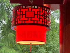 -鸡鸣赐茶(鸡鸣寺路店)