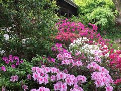 -惠山古镇·寄畅园