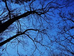 -南京市无想山景区