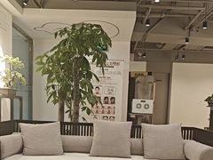 -席仁堂推拿按摩脊柱调理(世纪科贸大厦店)