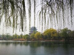 -济南大明湖景区