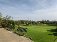 -小鱼草莓采摘园农家乐·小鱼餐厅